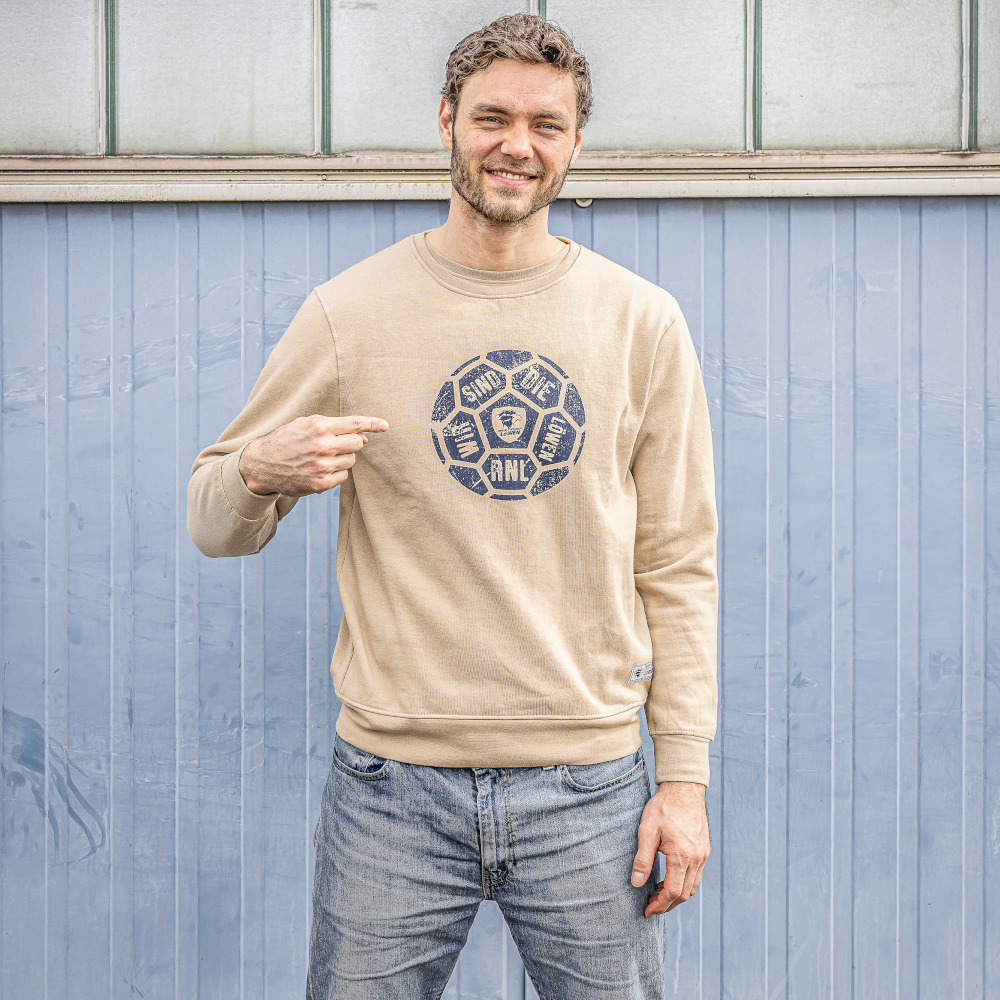 Pullover Wir sind die Löwen beige Herren